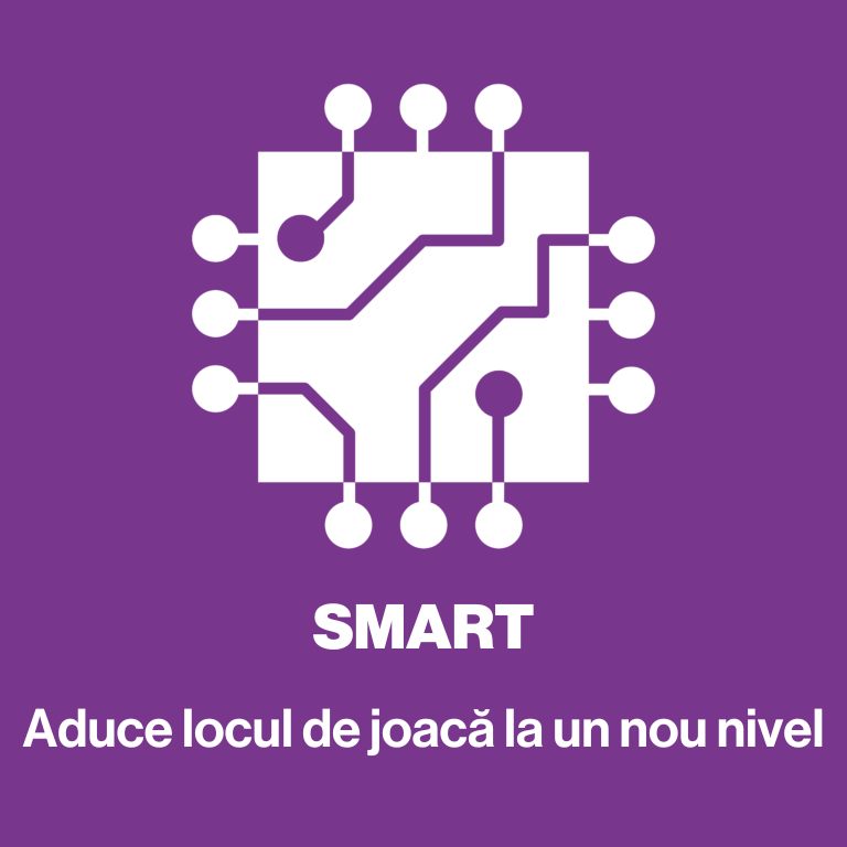 principiul smart in construirea echipamentelor interactive de joaca